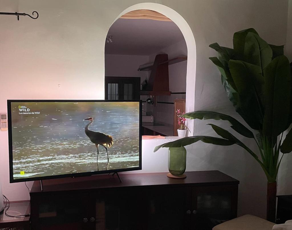 Casa Con Piscina En San Jose Sotillo المظهر الخارجي الصورة